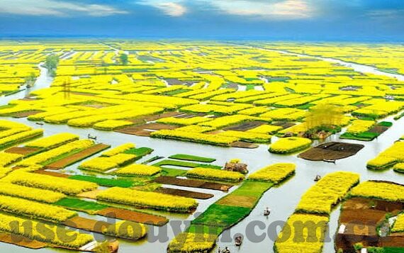 糖心app是什么软件-解密糖心app，一款受欢迎的社交娱乐平台